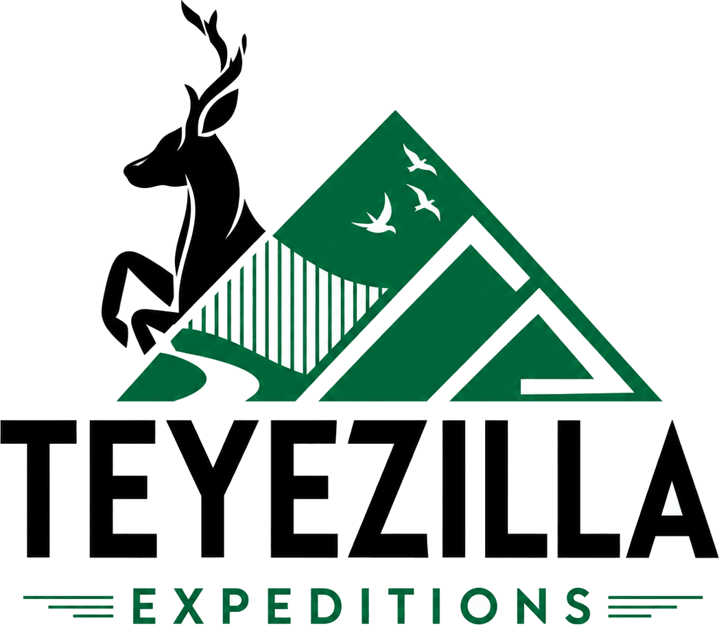 Teyezilla Expeditions
