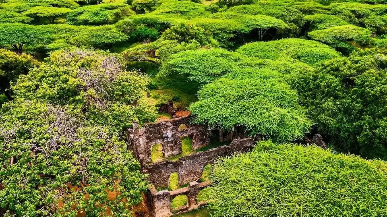 Takwa Ruins & Manda Island: The Lost Swahili Coast