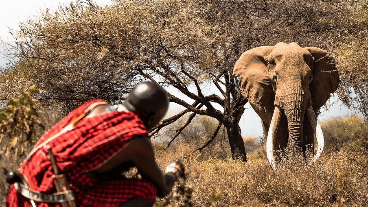 Best Safari in Kenya