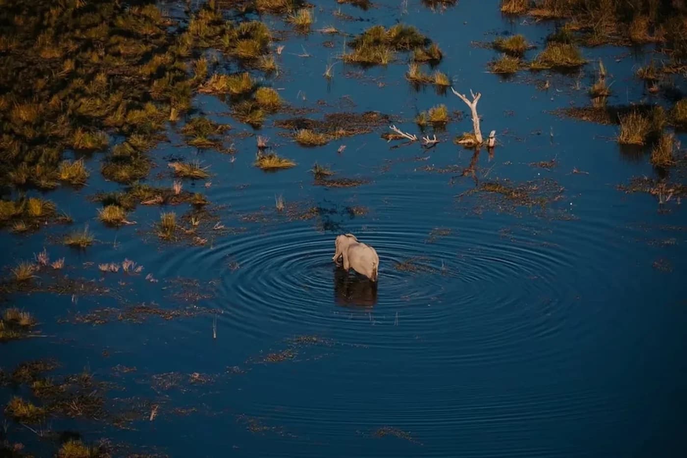 Botswana travel and safari tours