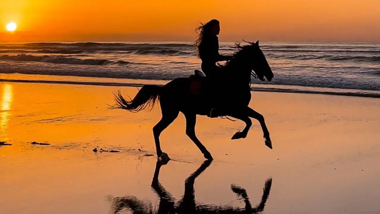 MICHAMVI KAE SUNSET HORSE RIDE
